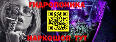 СК Дубна