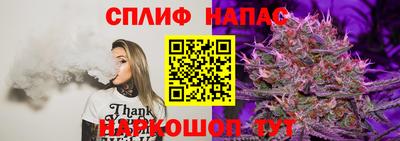 СК Дубна