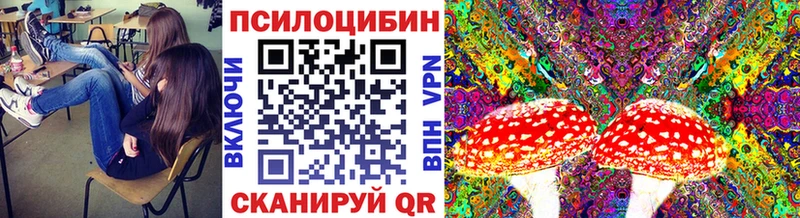 как найти закладки  Зеленогорск  Галлюциногенные грибы прущие грибы 