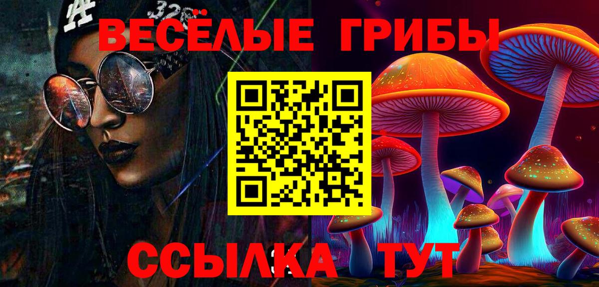 Псилоцибиновые грибы GOLDEN TEACHER Зеленогорск