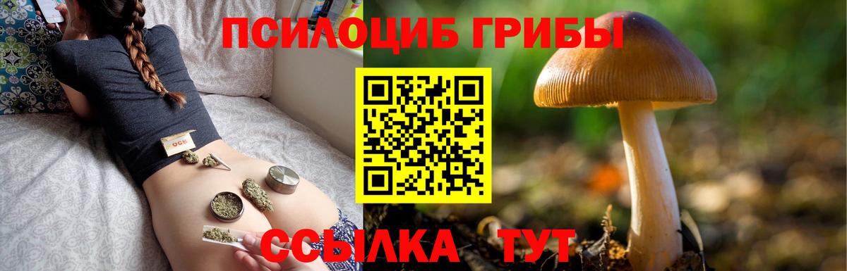 Зеленогорск  Галлюциногенные грибы мухоморы  Вход с VPN 